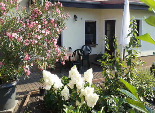ferienwohnung senftenberg frieda
